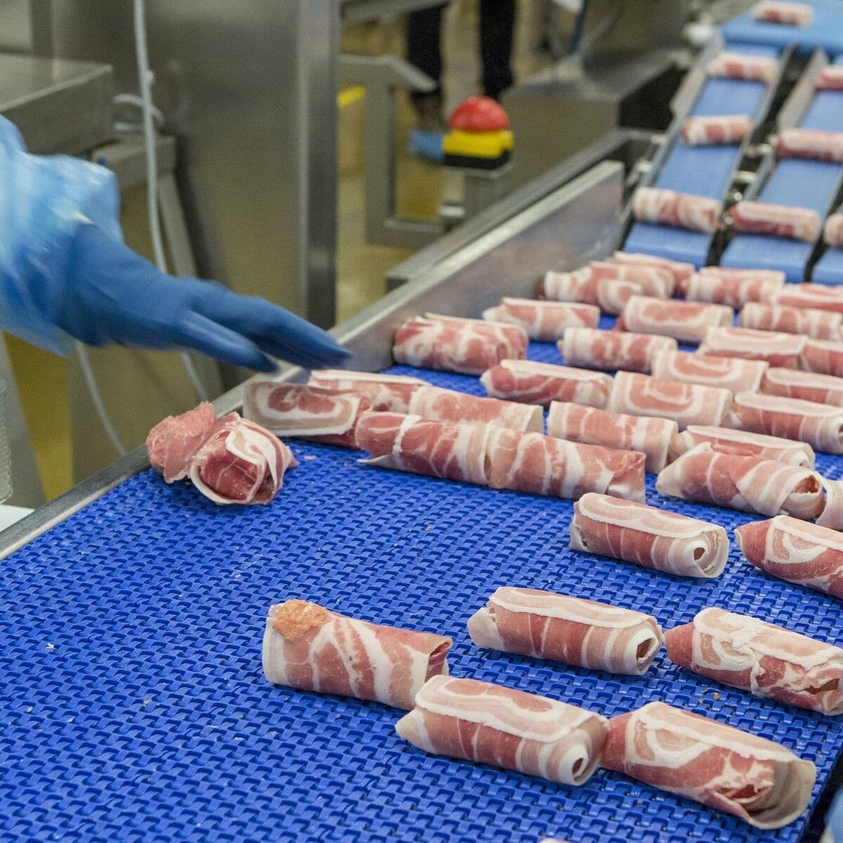Medewerker met blauwe handschoenen aan een lopende band in een voedingsfabriek
